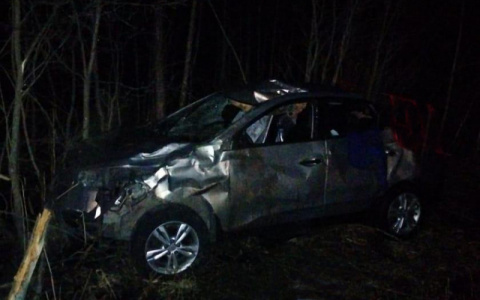 Чудовище выскочило на дорогу: водитель чудом выжил в странном ДТП в Рыбинске