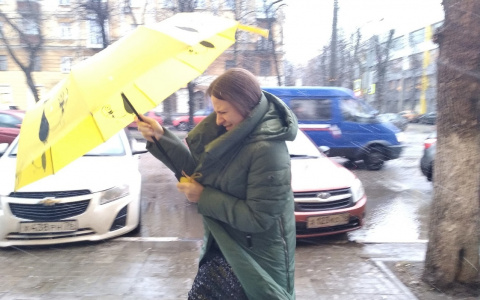 Дожди и мокрый снег: синоптики предупредили ярославцев о непогоде