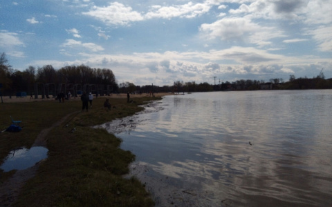 Подтопило в два раза больше дач: что происходит в Ярославской области