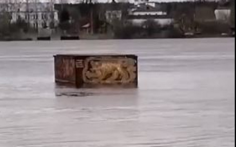 Ярославцы делятся последствиями подтопления: видео.