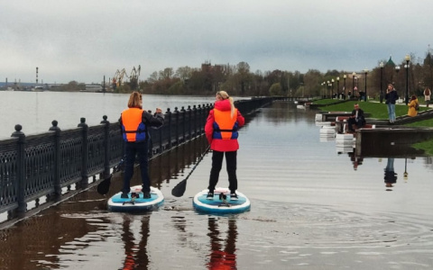 "Это новый вид туризма": ярославцы катаются по затопленной набережной на серфах