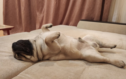 В Ярославской области начали отключать отопление