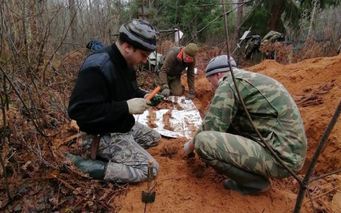 Воссоединили после смерти: ярославцы нашли героя по загадочной табличке в лесу