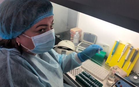 Треть заражены: за несколько дней клещи покусали полтысячи ярославцев