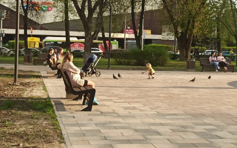 Будут ли работать летние кафе в Ярославле: решение властей