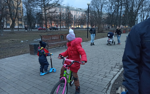 В Ярославле бросившую пятерых детей многодетную мать посадили в тюрьму