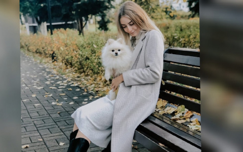 "Сдаю свою собачку в аренду": инстаграм-блогер из Ярославля о секретах заработка