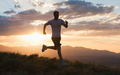 Привычки людей, которые никогда не испытывают стресса