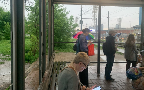 Похолодание и дожди: синоптики огорошили ярославцев неутешительным прогнозом