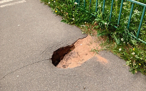 "Пополнение в большой ямочной семье Ярославля": в городе прибавление