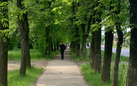 В ФБР вычислили убийц по гороскопу: самые преступные знаки зодиака