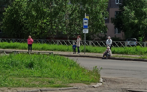 "Нанотехнологии в действии": ярославские пенсионеры ждут транспорта, сидя на бордюре