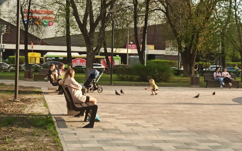 Большие выходные: какая погода будет в Ярославле на День России