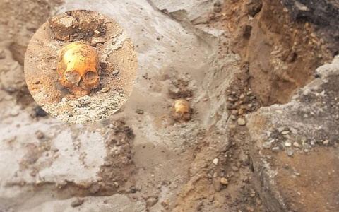 Человеческий череп на набережной: ярославский следственный комитет проверит страшную находку