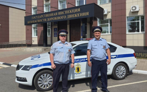 «Укусила змея»: сотрудники ГИБДД спасли жизнь ярославне