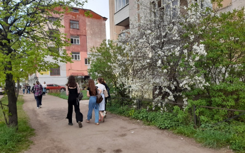 Самые милые и добрые: список самых добрых знаков зодиака