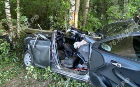 Страшное ДТП под Рыбинском: молодые ребята въехали в дерево