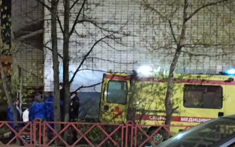 В Ярославской области нашли тело погибшего ребенка