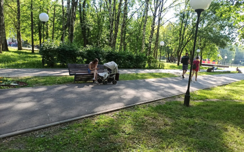 «Идет от кладбища из-за жары»: жители Ярославля жалуются на трупный запах