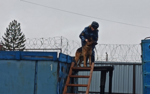 В «пыточной» колонии Ярославля совершил суицид молодой заключенный