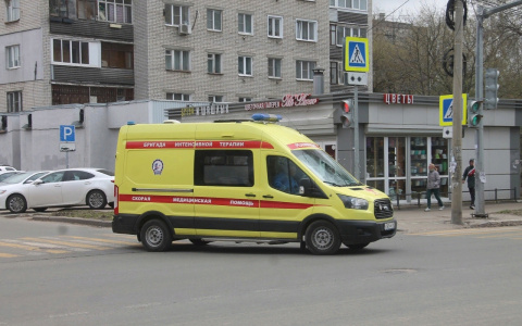 Скончался на месте: в Ярославской области в ДТП с лосем пострадала семья