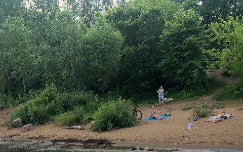 Тело парня вытащили из воды: подробности несчастного случая в Ярославле