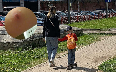 «Сына покусали первой ночью»: ярославна купила в торговом центре диван с клопами