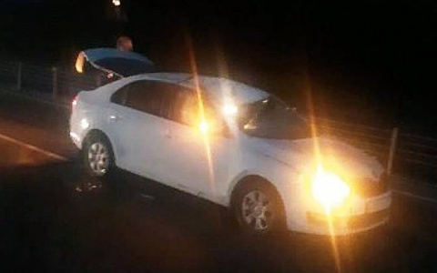 «Кишки на асфальте остались»: в Ярославской области в ДТП пострадала девушка