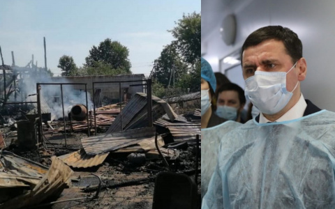 "Погибли все ежи": губернатор обратился к ярославцам в связи с трагедией