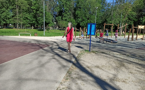 Девы - машинистки: какие профессии подходят знакам зодиака