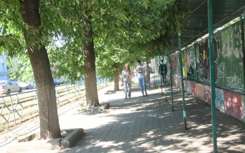 "Коронавирус головного мозга": в Ярославле семья распалась из-за прививки