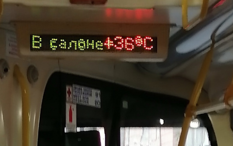 "На крематорий похож": ярославна еле доехала на автобусе