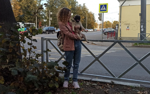 В Ярославле массово сносят заборы