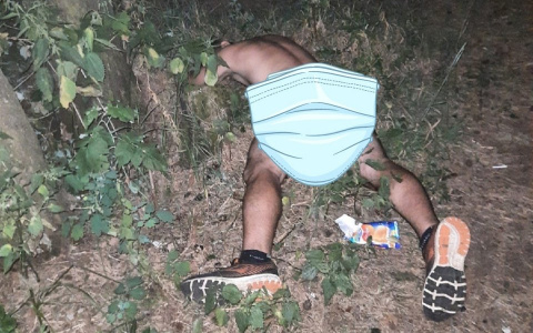 Ярославцы сообщили о голом извращенце в Тверицком бору