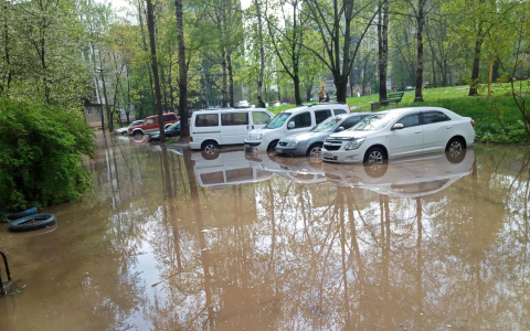 Сильные грозы и ливни: когда лучше остаться дома на следующей неделе