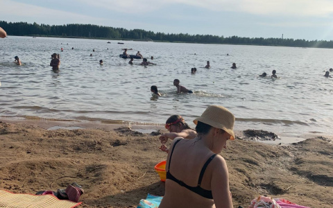 Эпидемиологи: в Ярославле вода в Волге кишит стрептококками и кишечными палочками