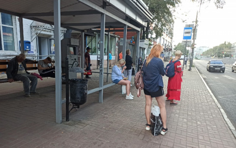 Транспортная реформа: ярославцы пересели на трамваи и троллейбусы