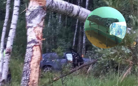 Удар был смертельным: под Ярославлем молодой водитель погиб в ДТП