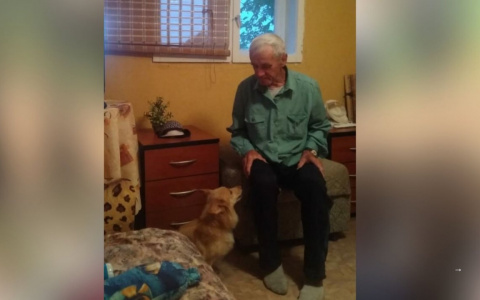 Собака не отходила от мертвого хозяина: пропавший в Ярославле мужчина погиб