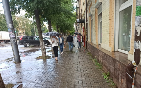 Грозы и перепады температур: какая погода ждет ярославцев на этой неделе