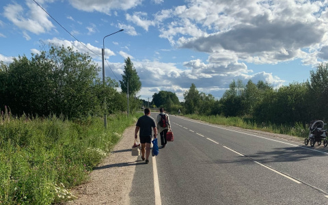 "Ямы латаем своими силами": мэр Волков об экономии денег на ремонт дорог