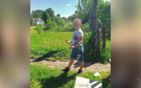 Две недели в коме: под Ярославлем умер мальчик, сбитый таксистом