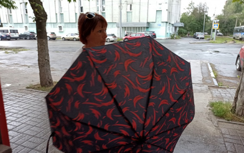 На Ярославль обрушится гроза: о чем еще экстренно предупредило МЧС