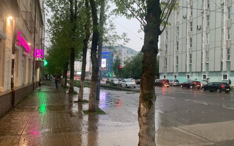 Будут слетать крыши: экстренное предупреждение от МЧС в Ярославле