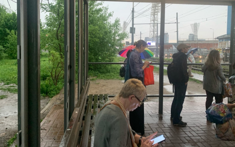 "Скоро кончится лето": какая погода ждёт ярославцев сентябре