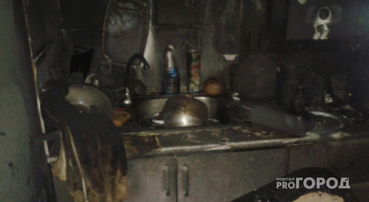 В Рыбинске на пожаре погибли животные: дома они были не одни