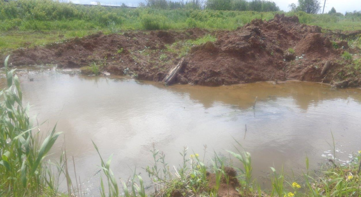 Нашли виновных в загрязнении воды в реке Нора: что им грозит