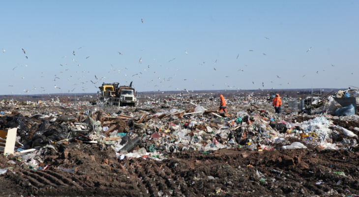 Что будет с мусорным полигоном в Ярославской области: ответ властей