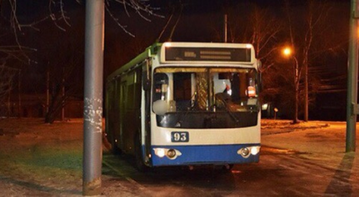 Водители автобуса и троллейбуса сбили пешеходов в центре Ярославля