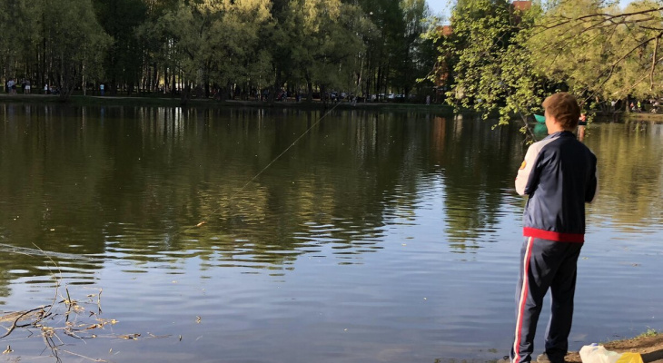 Тело нашли в воде: под Ярославлем трагически погиб мужчина
